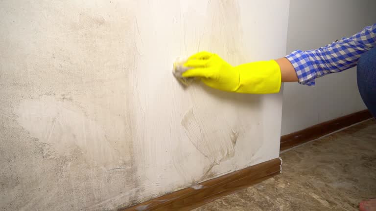 Best Emergency Mold Remediation  in Hines, OR